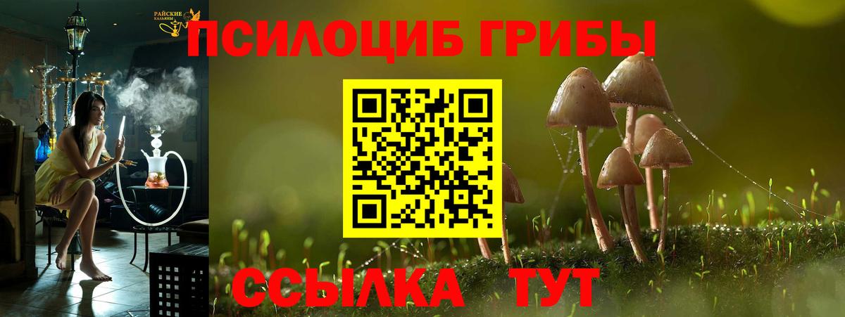 Псилоцибиновые грибы GOLDEN TEACHER Трёхгорный
